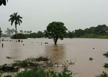 Inundaciones por las recientes lluvias en el occidente del país. Foto: Agencia Cubana de Noticias (ACN)
