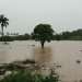 Inundaciones por las recientes lluvias en el occidente del país. Foto: Agencia Cubana de Noticias (ACN)