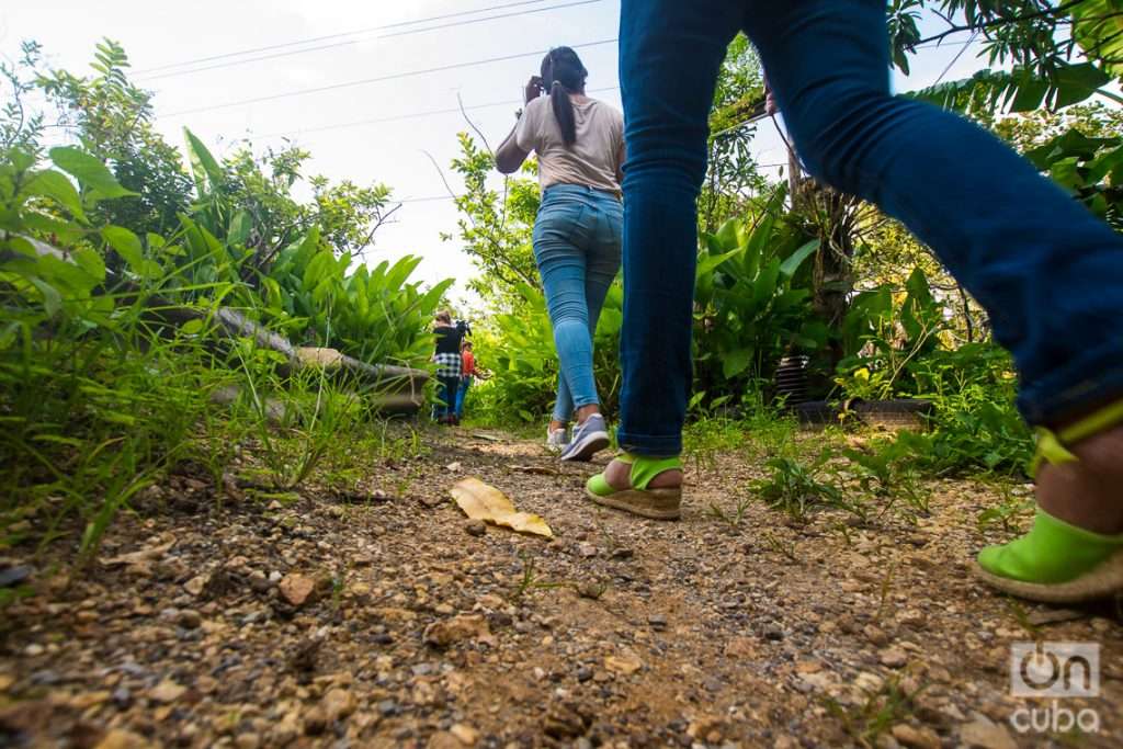 El Patio de Pelegrín, en Consolación del Sur, Pinar del Río. Foto: Otmaro Rodríguez.