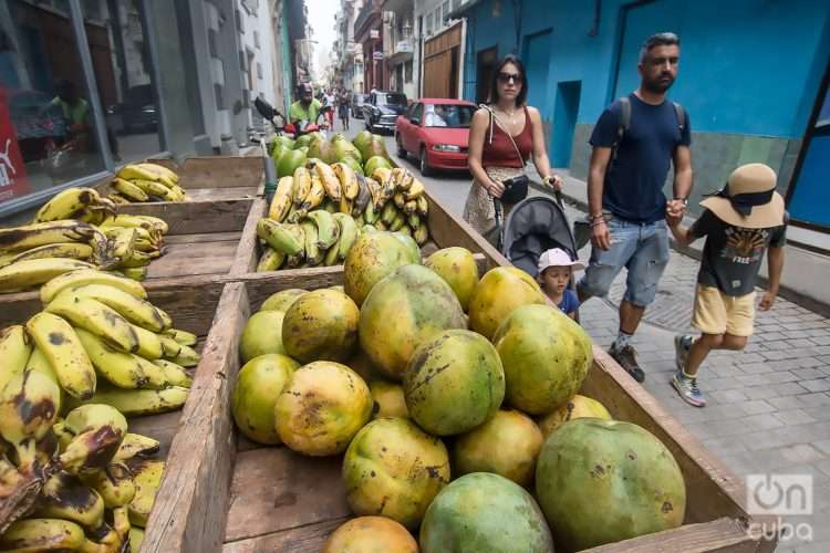 Personas en La Habana un día después del anuncio por las autoridades de un nuevo mercado cambiario en la Isla. Foto: Otmaro Rodríguez.