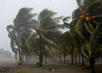 Vientos de tormenta tropical. Foto: DW.