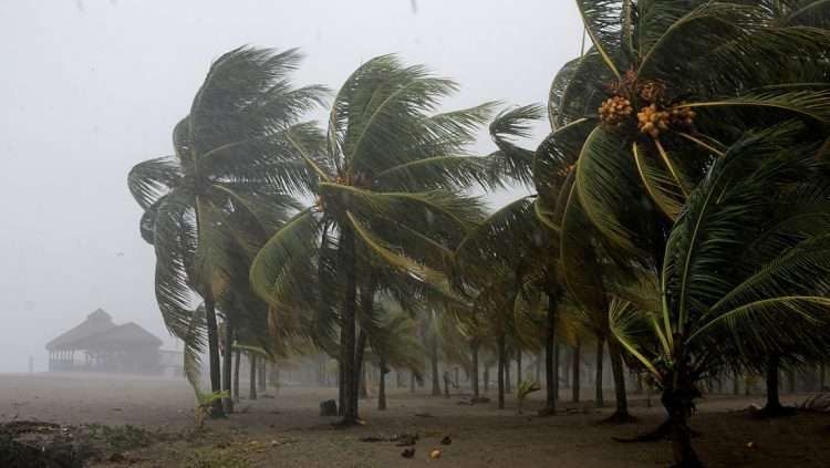 Vientos de tormenta tropical. Foto: DW.