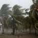 Vientos de tormenta tropical. Foto: DW.