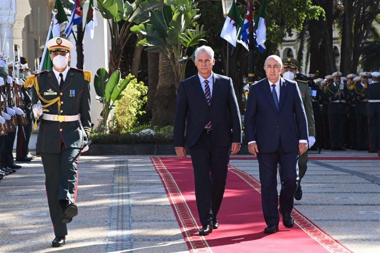El presidente cubano Miguel Díaz-Canel durante su visita oficial a Argelia (17/11/2022). Foto: EFE.