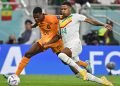 Jugadores de Senegal calientan antes del tope con Países Bajos hoy en el estadio Al Thumama Foto EFE EPA Noushad Thekkayil