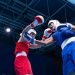 Siete de los ocho boxeadores de la Isla que llegaron a La Nucía la pasada semana lograron acceder a la discusión de medallas. Foto: Frank Hurtado/Federación Española deBoxeo/Facebook.