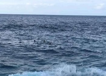 Uno de los hechos ocurrió en el Malecón de La Habana, donde un menor, del cual no se han dado detalles, perdió la vida tras ser arrastrado por la fuerza del oleaje. Foto: Canal Caribe.