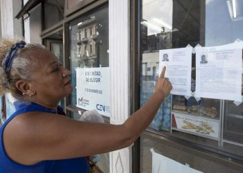 Una mujer lee las biografías de los delegados locales del Poder Popular a presentarse en las próximas elecciones del 27 de noviembre en Cuba. Foto: Yander Zamora / EFE.