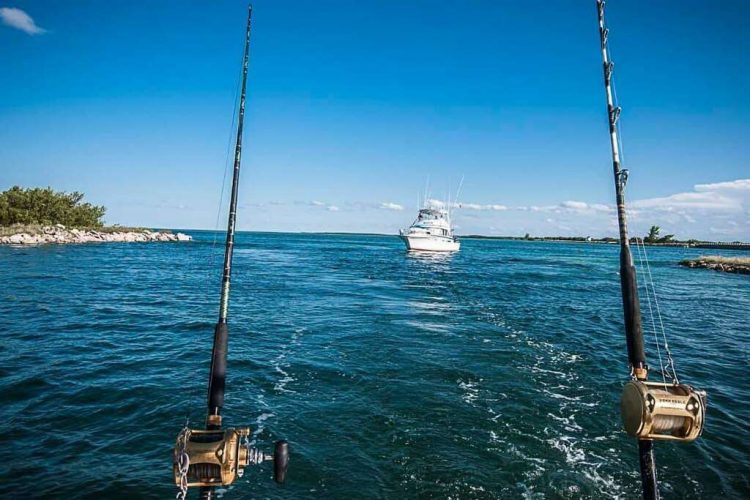 En la competencia intervienen profesionales o aficionados, integrados o no a clubes y federaciones de la actividad, con el propósito de profundizar en el conocimiento sobre el ambiente marino y sus especies, precisa la información. Foto: Marina Marlin/Acn.