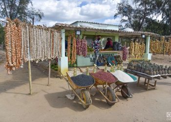 agricultura en Cuba