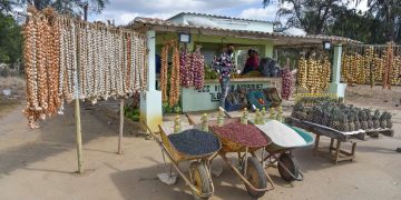 agricultura en Cuba