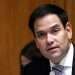 El senador Marco Rubio. Foto: Washington Examiner.