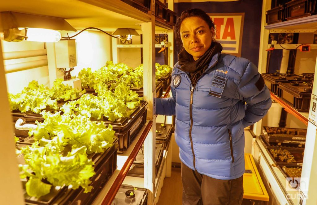 María Estela Arce,  suboficial ayudante de la Fuerza Aérea y Licenciada en Gestión Ambiental. Está a cargo del Módulo Antártico de Producción Hidropónica, donde se produce lechuga, rúcula y perejil en un lugar cerrado, con luz artificial y agua. Foto: Kaloian.
