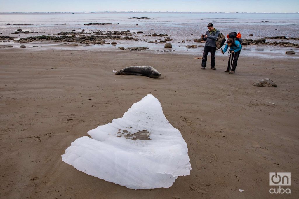 Típica escena de verano en la península de la Antártida: un témpano de hielo que recaló en una de las playas, una foca tomando sol y dos científicos haciendo trabajo de campo.