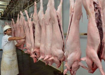 La producción de carne de cerdo, uno de los renglones identificados. Foto: Archivo.
