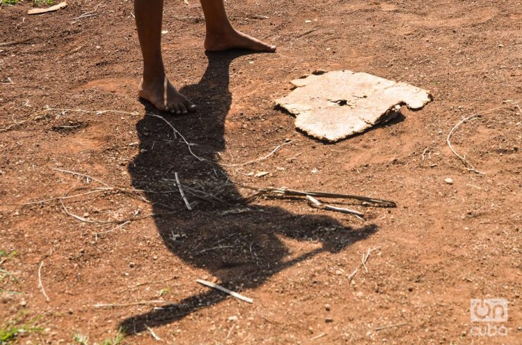 El bichito de la pelota es parte de nuestro ADN. Foto: Kaloian.