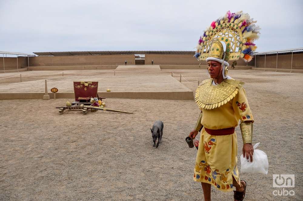 Un “Perro Sin Pelo del Perú” en medio de un rito ancestral, en la Zona Arqueológica Chan Chan, Perú. Foto: Kaloian.
