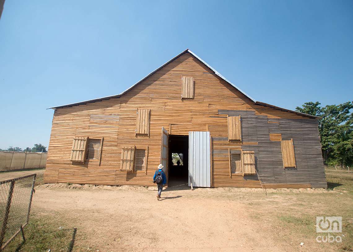 Casa de tabaco lugar donde se curan tradicionalmente las hojas luego de la cosecha. Foto: Otmaro Rodríguez.