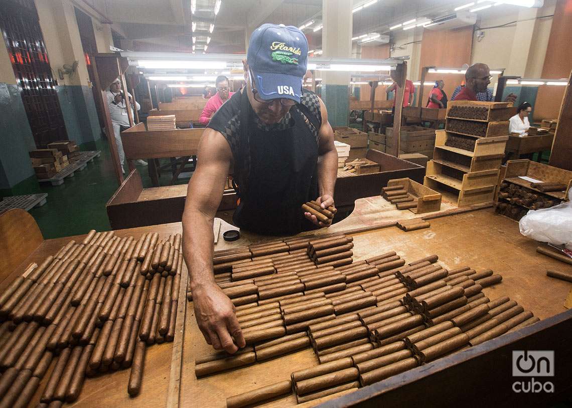 Habilitado: área de la fábrica donde se selecciona los tabacos por color y se le pone la etiqueta. Foto: Otmaro Rodríguez.