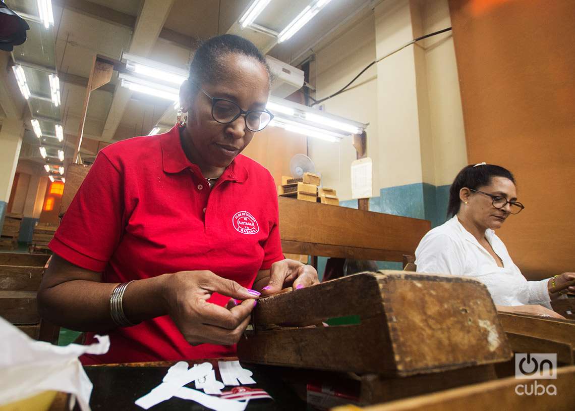 Habilitado: área de la fábrica donde se selecciona los tabacos por color y se le pone la etiqueta. Foto: Otmaro Rodríguez.