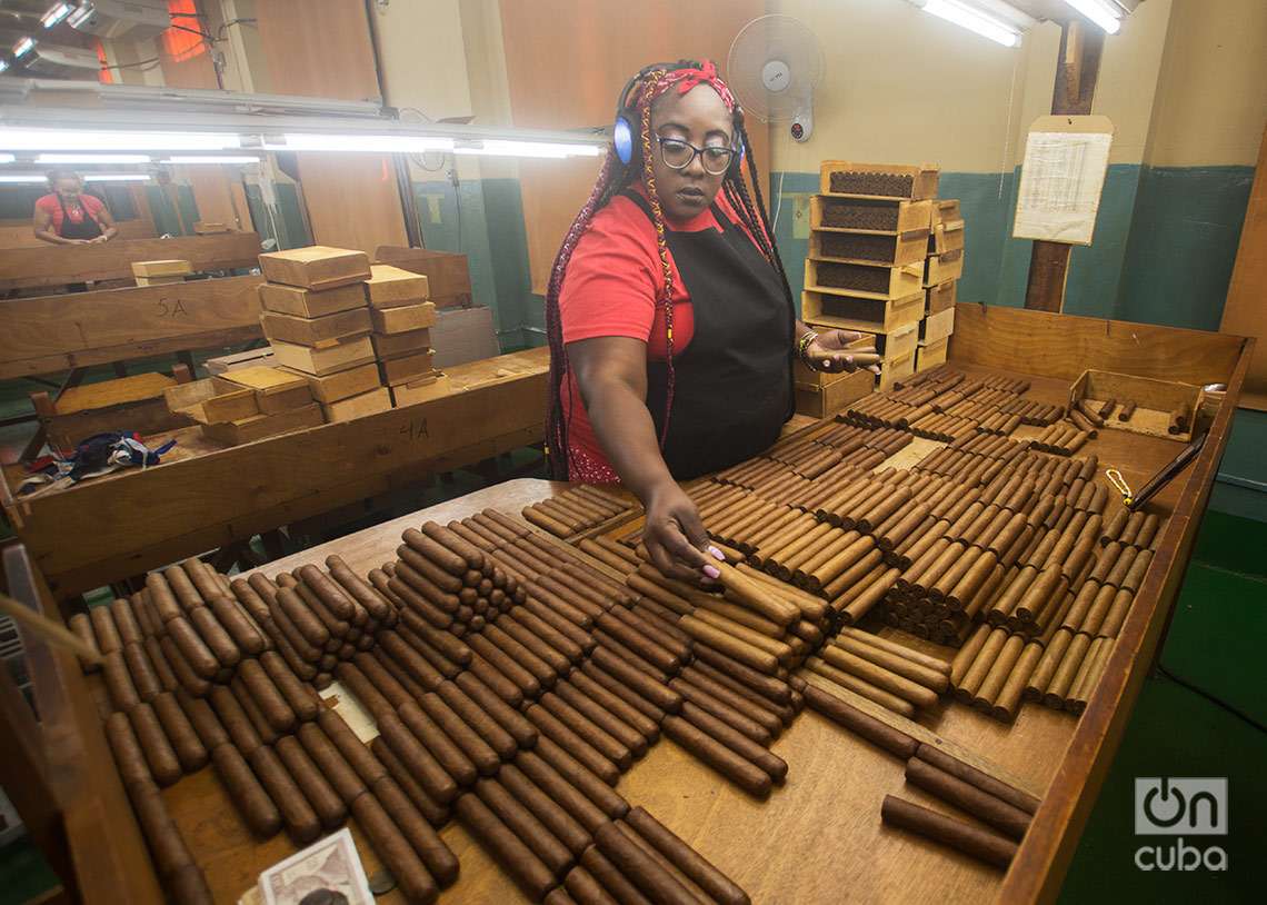 Habilitado: área de la fábrica donde se selecciona los tabacos por color y se le pone la etiqueta. Foto: Otmaro Rodríguez.