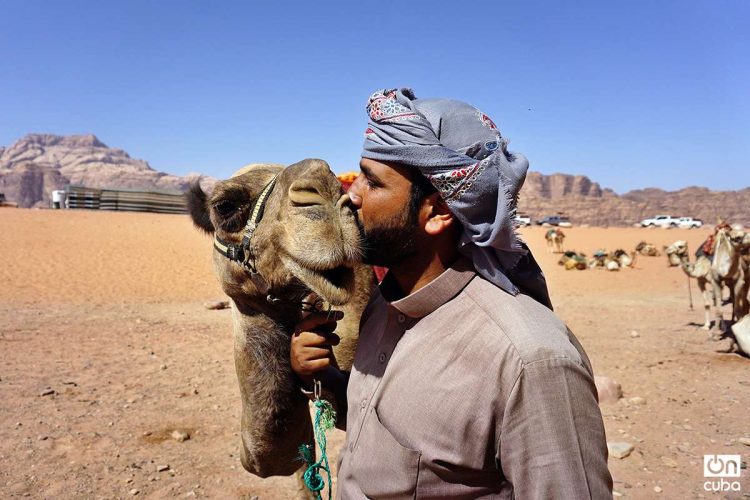 ¿Amor entre hombre y camello? ¿O la típica postal para el turista? Foto: Alejandro Ernesto.