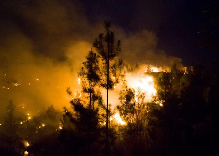 Incendio en Pinares de Mayarí, en el oriente cubano. Foto: Emilio Rodrígez Pupo / Facebook.