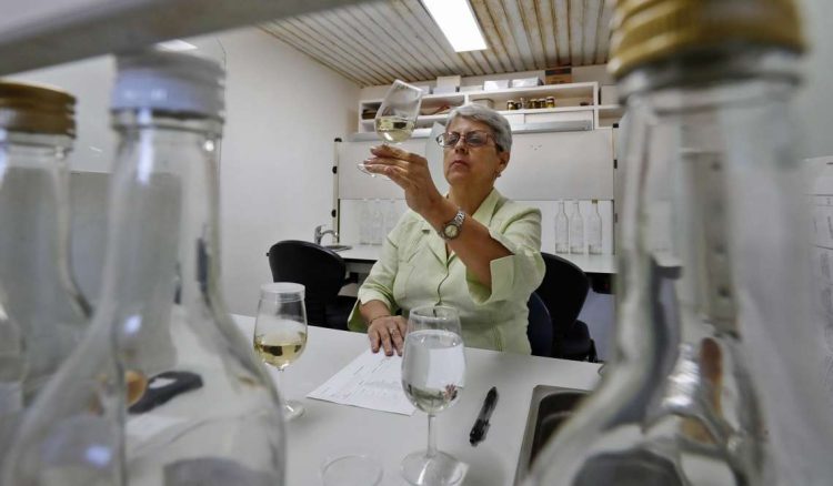 La maestra ronera Salomé Alemán analiza la calidad de un ron de Havana Club, en la ronera de Santa Cruz del Norte, Cuba. Foto: Ernesto Mastrascusa / EFE.