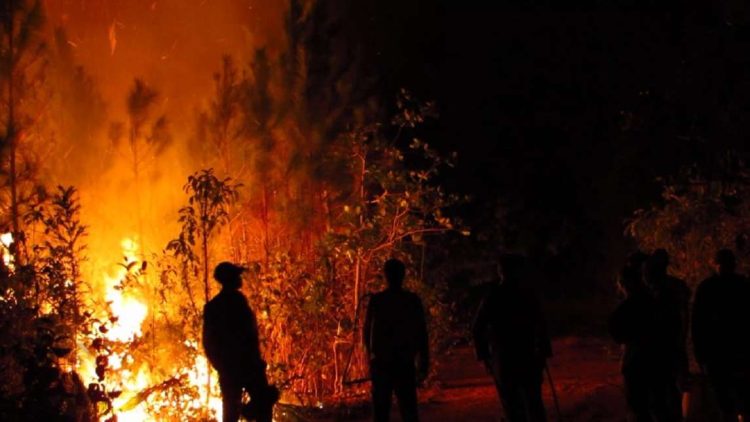 Incendio forestal en Mantua, Pinar del Río. Foto: Tele Pinar / Facebook / Archivo.