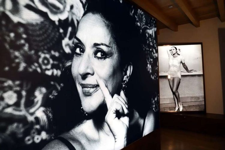 Interior del Centro Cultural Lola Flores Foto: AYUNTAMIENTO JEREZ/El Pais.