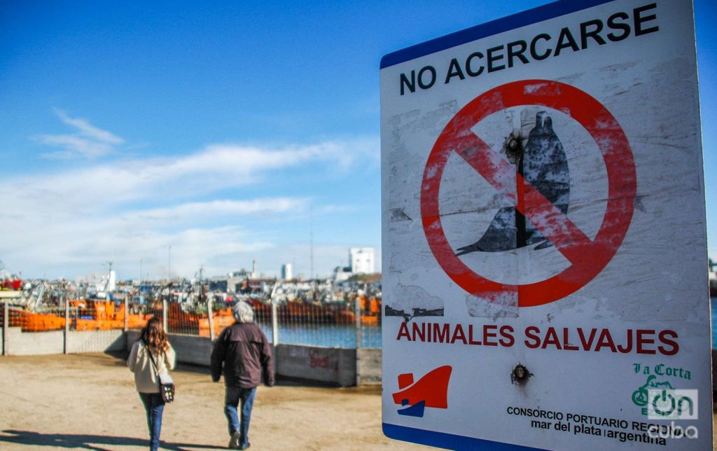 Señales de cuidado en las inmediaciones del puerto de Mar del Plata. Foto: Kaloian.