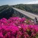 El esplendor y la hermosura de la flora rodean el paisaje donde se alza el Puente de Bacunayagua. Foto: Kaloian.