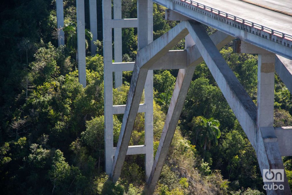 El puente presenta dos arcos en paralelo de hormigón armado, que se curvan elegantemente hacia el cielo, creando una forma única y sofisticada. Foto: Kaloian.