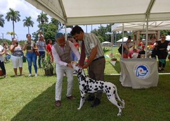 Exposición Canina en La Habana. Foto: Federación Cinológica de Cuba / Facebook / Archivo.