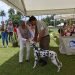 Exposición Canina en La Habana. Foto: Federación Cinológica de Cuba / Facebook / Archivo.