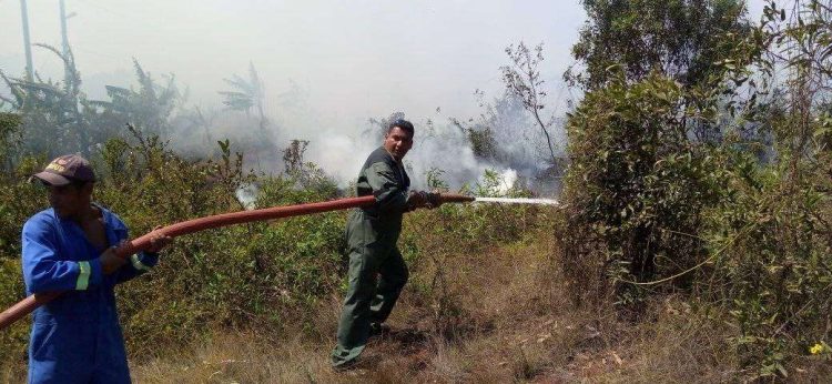 Bomberos combaten un incendio forestal en Moa, Holguín. Foto: Camilo Velazco / Facebook.