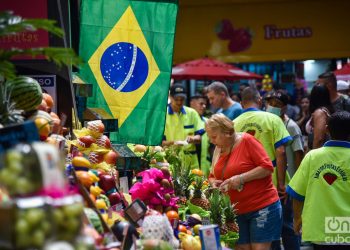 Puesto de frutas en el Mercado Municipal de São Paulo. Foto: Kaloian.