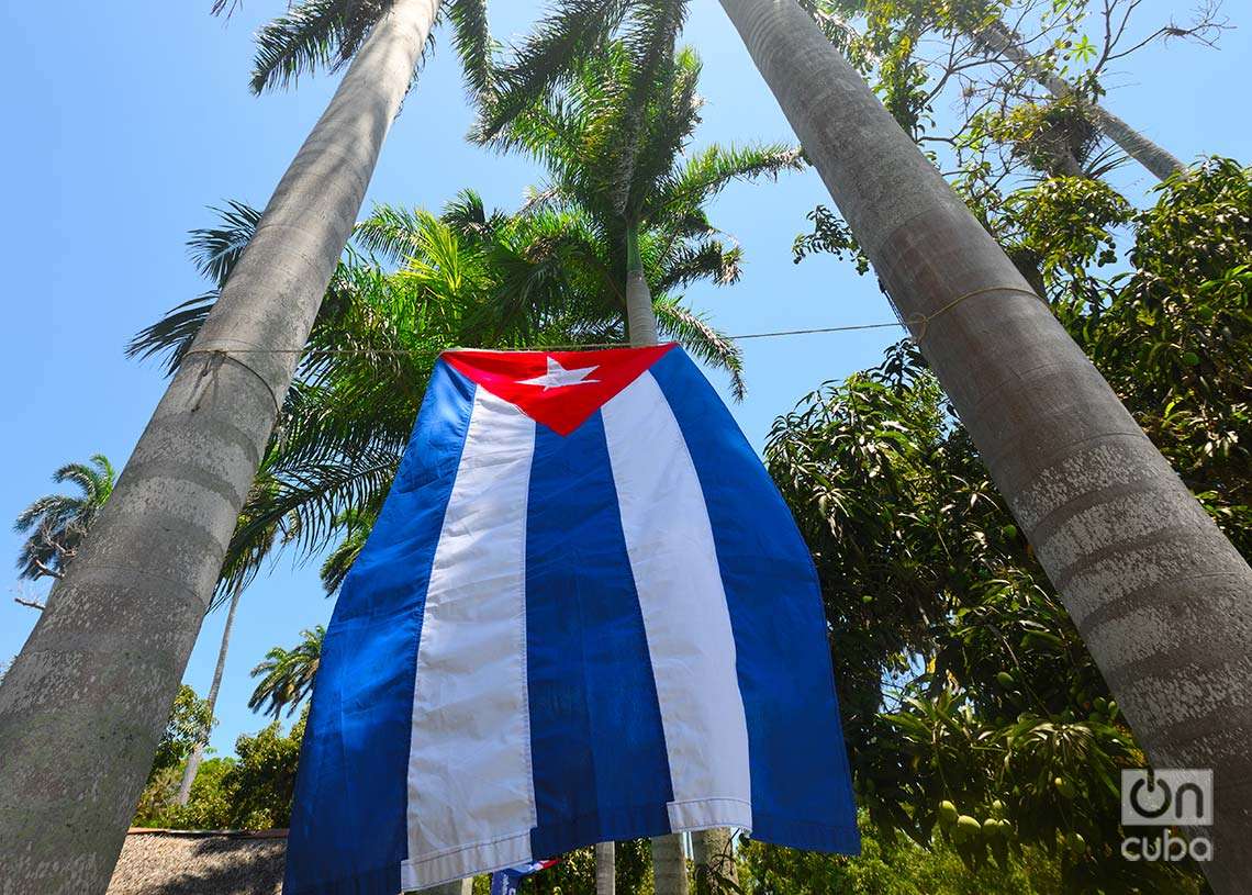 Bandera cubana entre palmas, en Remedios. Foto: Otmaro Rodríguez.