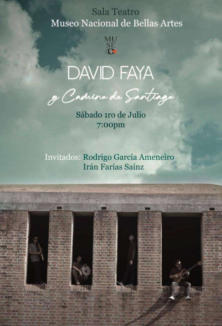 david faya en bellas artes