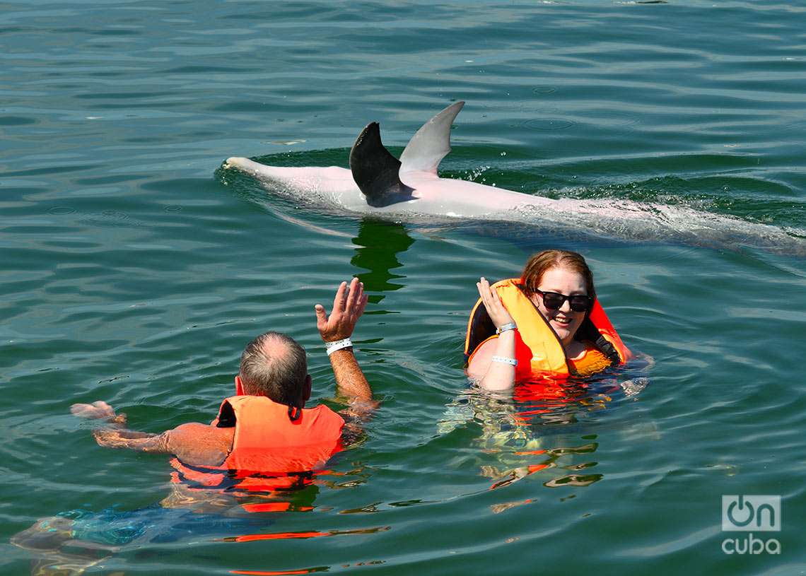 Personas junto a un delfín en el mar, en el Delfinario de Cayo Santa María, en Villa Clara. Foto: Otmaro Rodríguez.