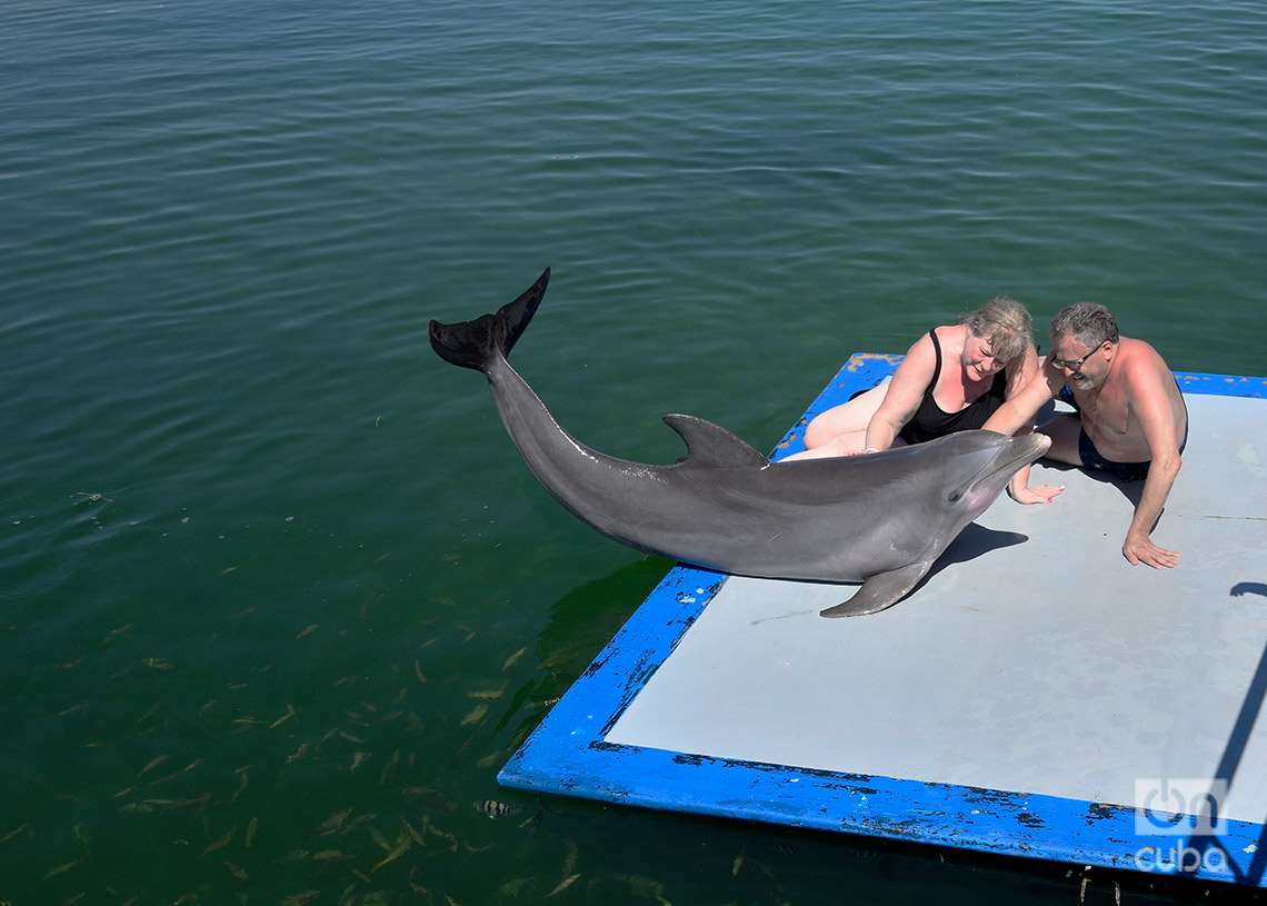 Un pareja de turistas con un delfín, en el Delfinario de Cayo Santa María, en Villa Clara. Foto: Otmaro Rodríguez.