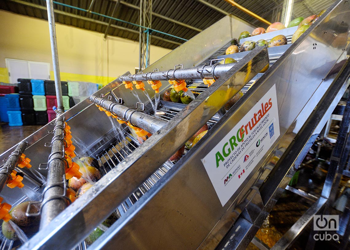 Moderna tecnología de procesamiento de frutas, en la minindustria estatal Villa Roja, provincia Artemisa. Foto: Otmaro Rodríguez.