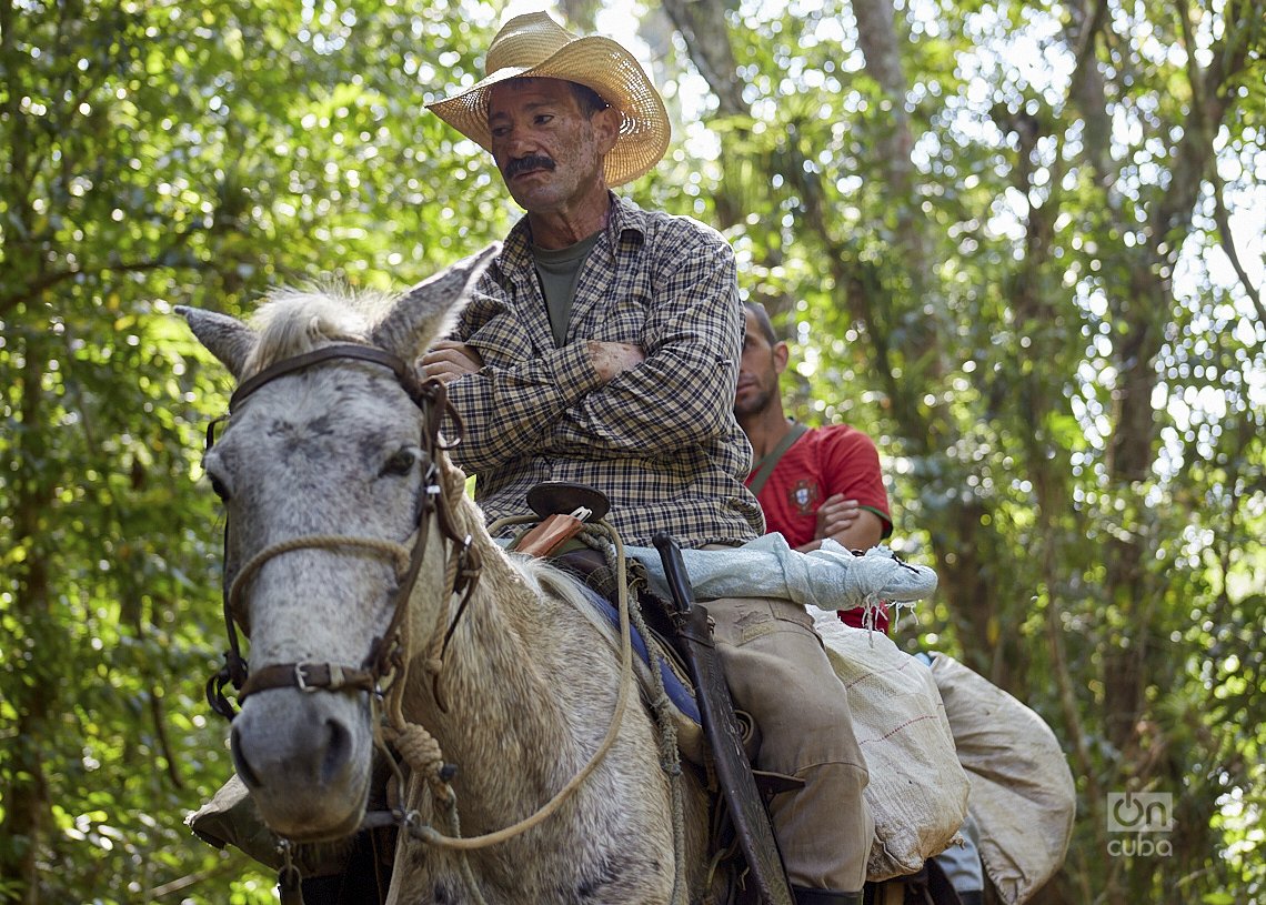 Campesino cubano sobre caballo. Foto: Néster Núñez.