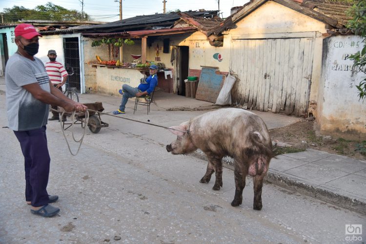 Foto: Kaloian Santos Cabrera/Archivo.