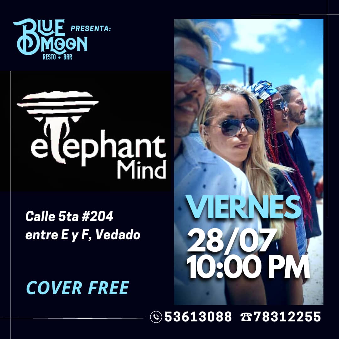 elephant mind en concierto