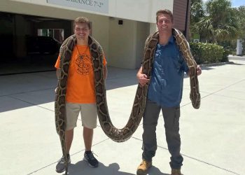 Jake Waleri (d), junto con Stephen Gauta (i) posan con la pitón, en la sede del centro en Naples, Florida. Foto: Conservacy of Southwest Florida /EFE.