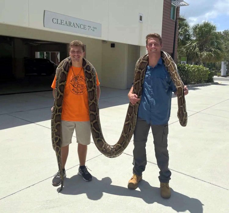 Jake Waleri (d), junto con Stephen Gauta (i) posan con la pitón, en la sede del centro en Naples, Florida. Foto: Conservacy of Southwest Florida /EFE.