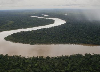 Amazonia. Foto: France 24.