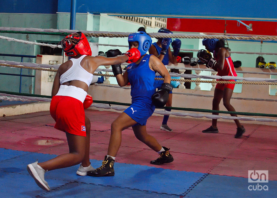 Sesión de entrenamiento de la selección cubana de boxeo femenino, en el gimnasio del Estadio Panamericano, en La Habana. Foto: Otmaro Rodríguez.