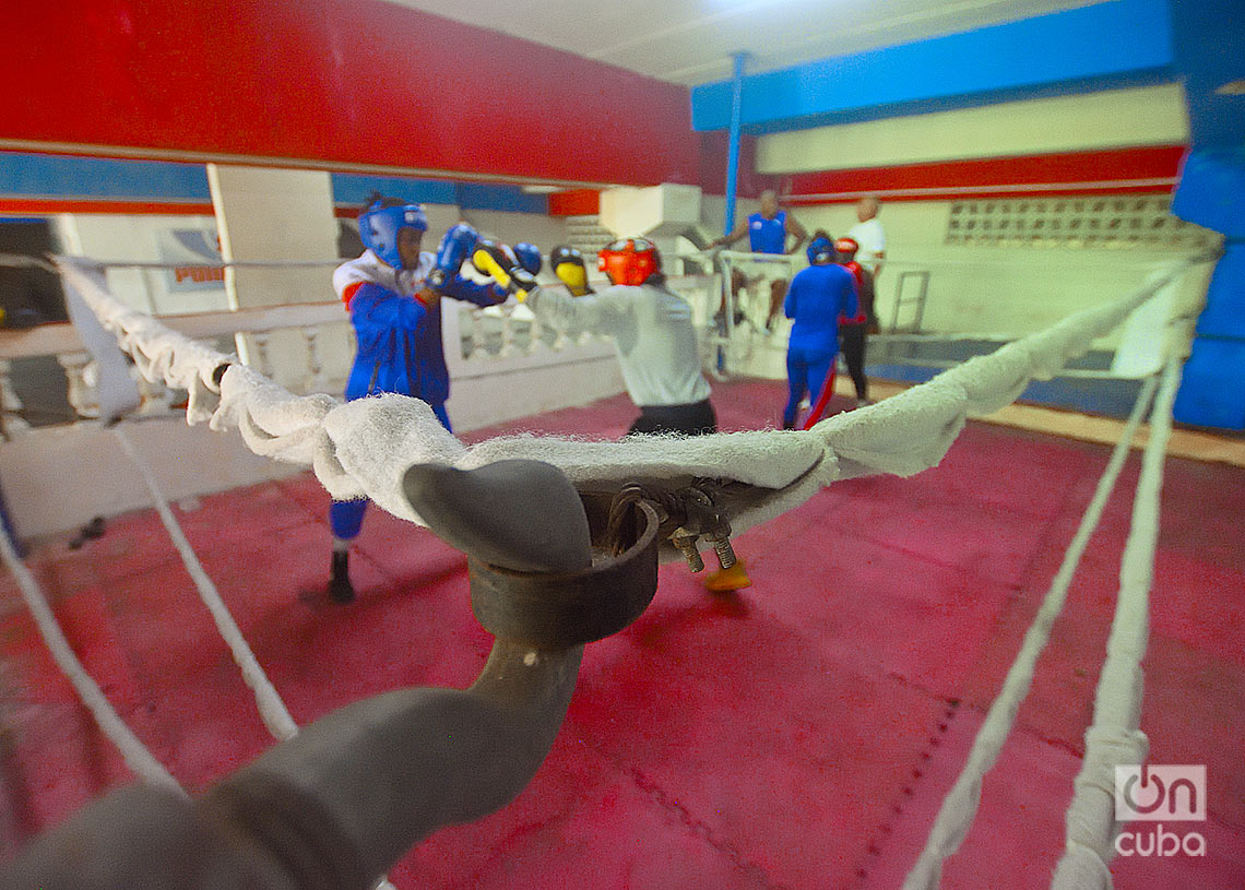 Training session of the Cuban women’s boxing team, in the gym of the Pan-American Stadium, in Havana. Photo: Otmaro Rodríguez.